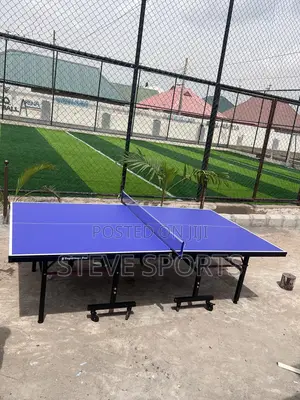 Outdoor Table Tennis
