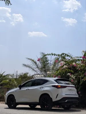 Lexus NX 2022 White