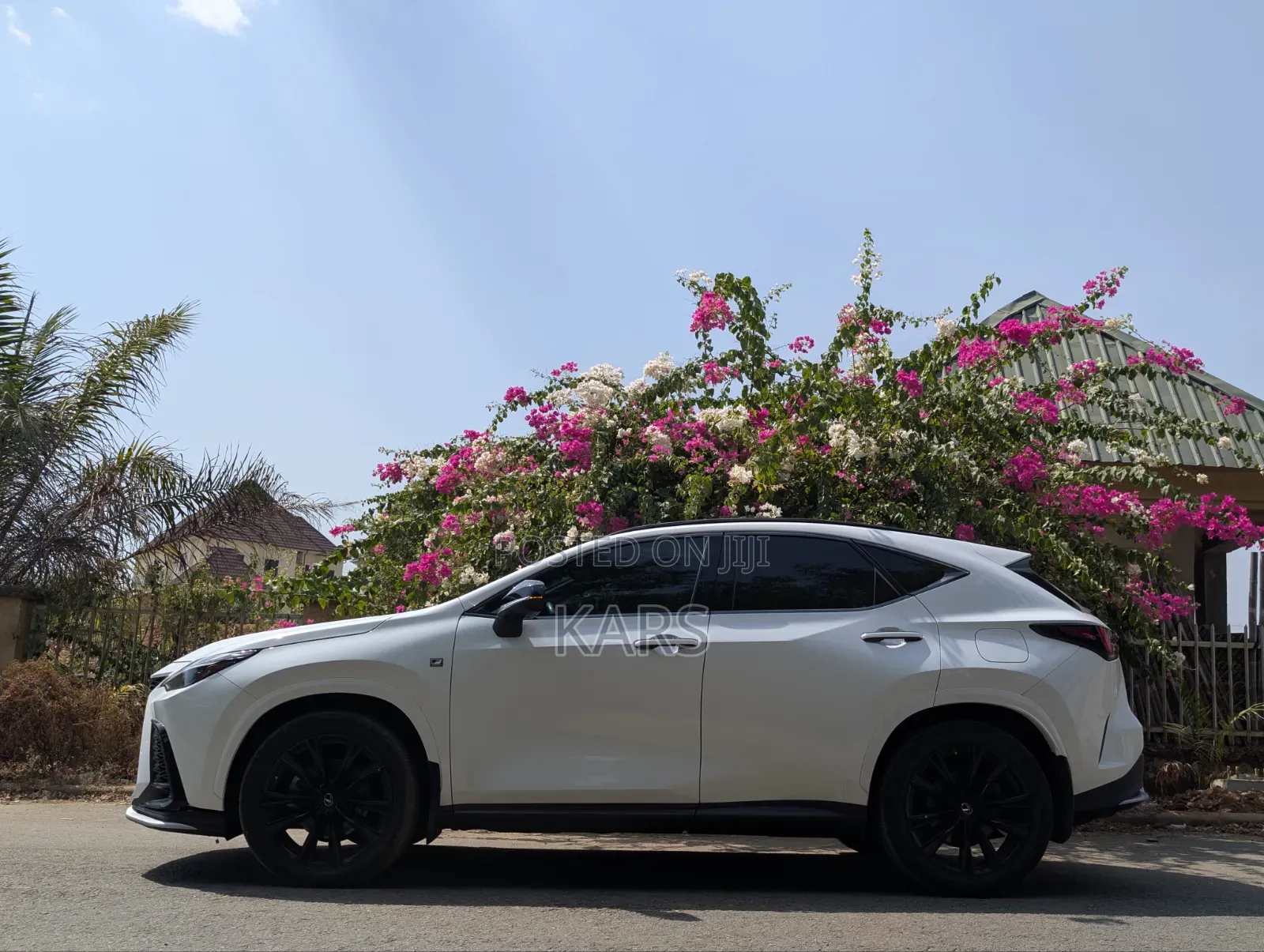 Lexus NX 2022 White