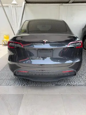 Tesla Model Y 2024 Gray