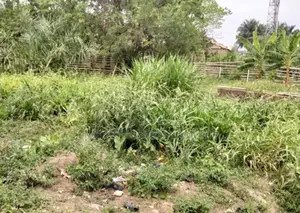 542sqm Of Land Behind Finrel Supermarket, Ojurin Akobo