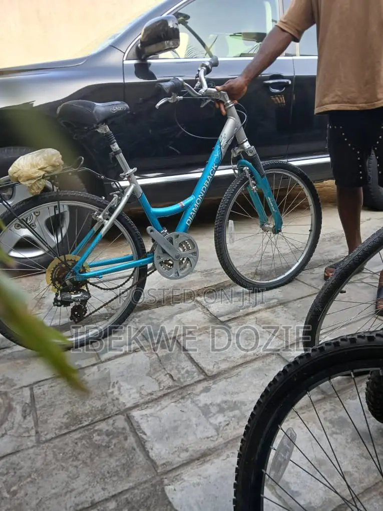 Standard Bicycles