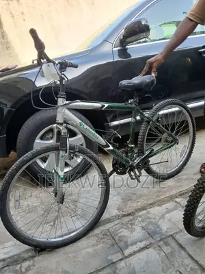 Standard Bicycles