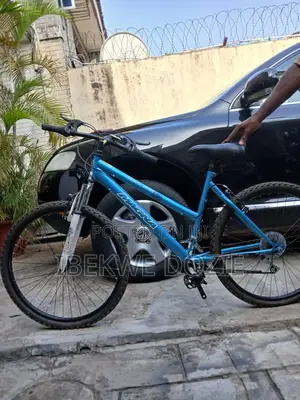 Standard Bicycles