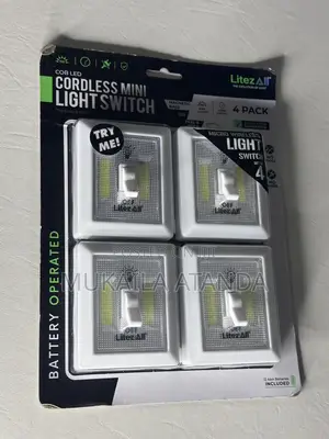 Household Light