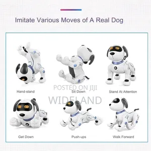 Stunt Robot Dog