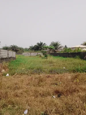 30plots of Land With Cofo in Elerangbe