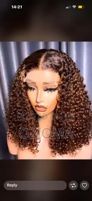 Human Hair Wig