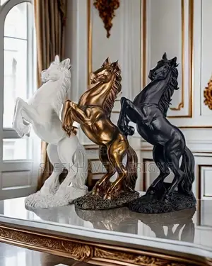 Interior Accessories