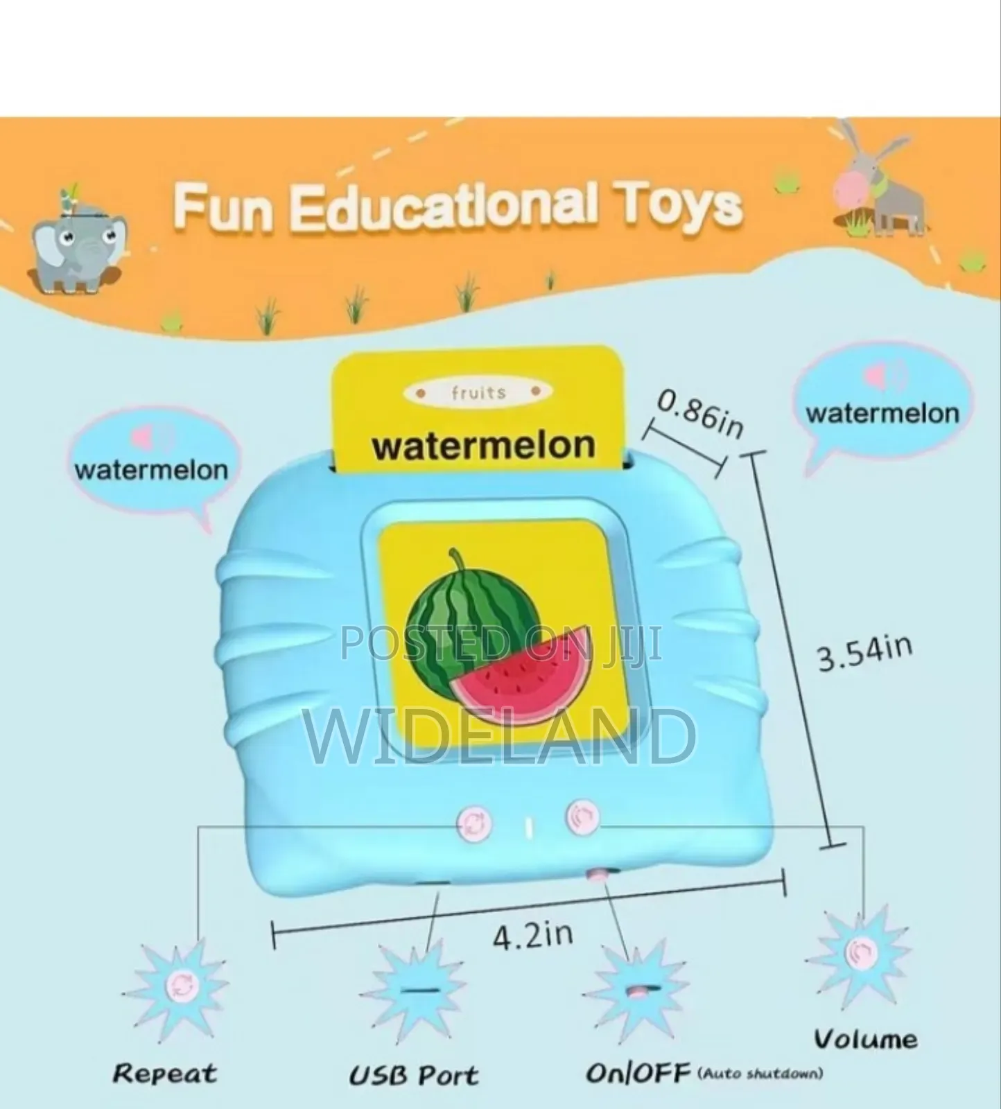 Electronic Flash Cards