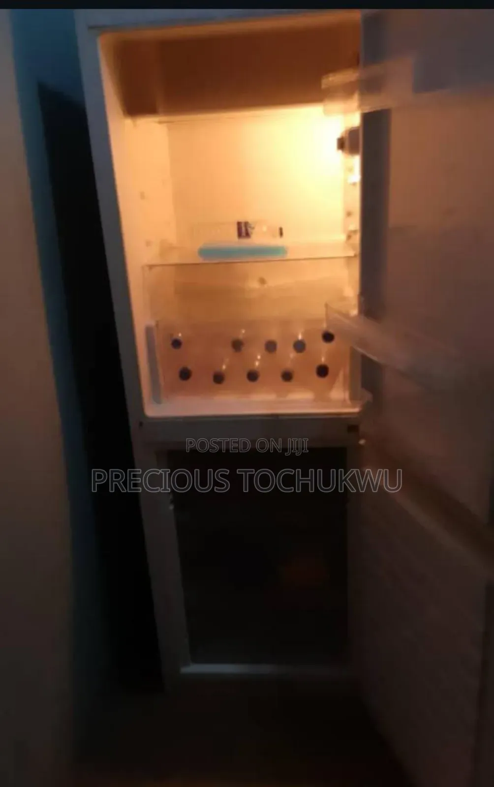 Standing Fridge and Freezer