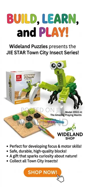 Children Insect Puzzle