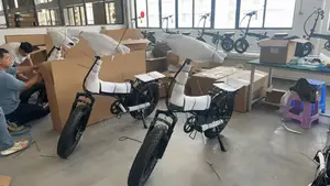 E Bike Foldable