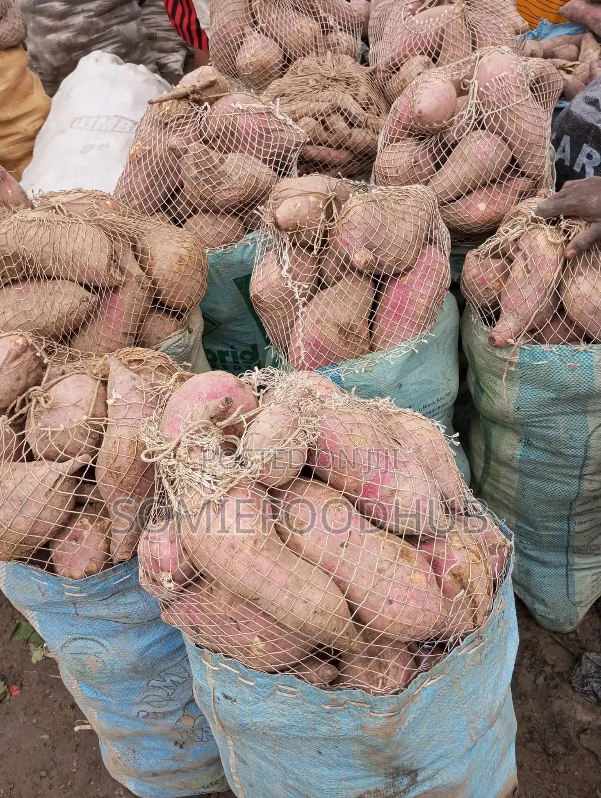 Sweet Red Potatoes