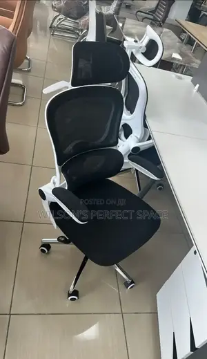 Modern Eco Friendly Executive Office Mesh Chair