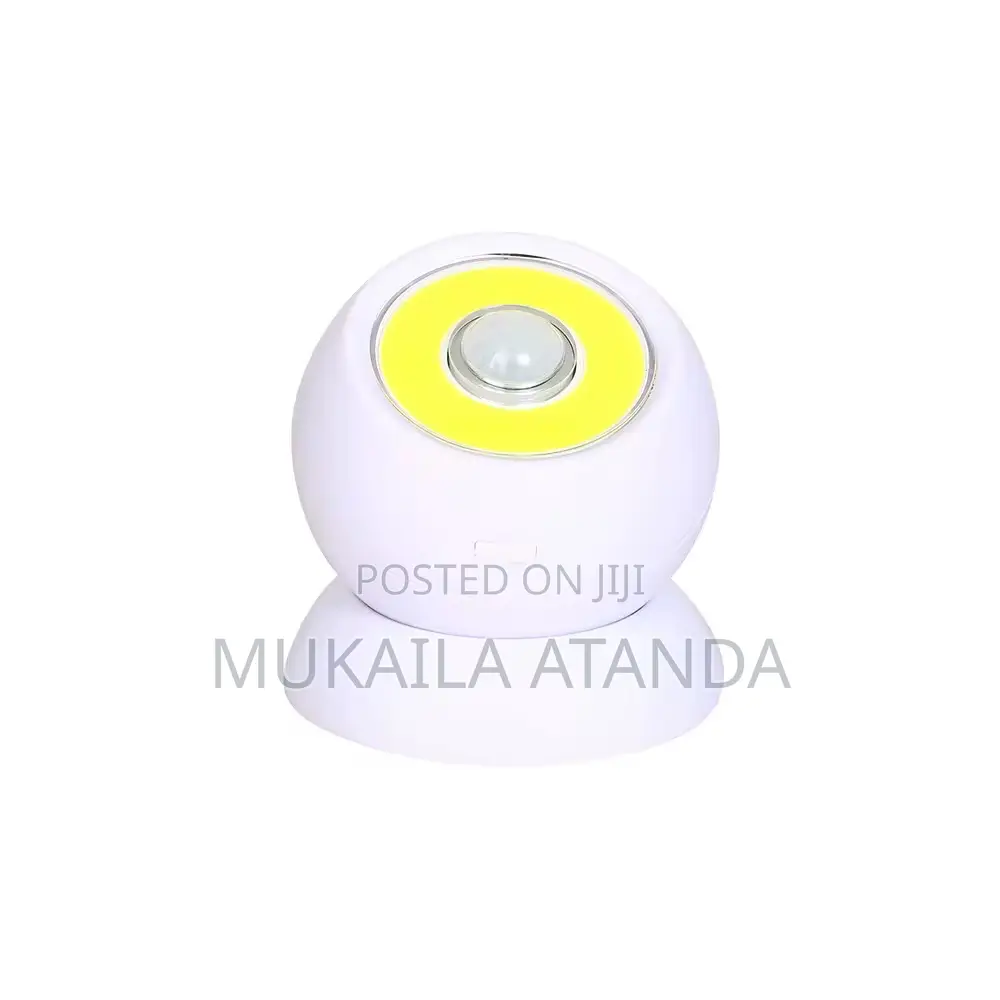 Battery Operated Pir Motion