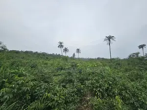 44 Acres of Farmland for Sale