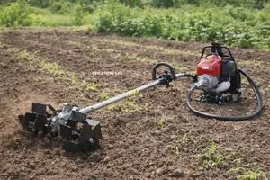 Motorised Grass Weeding Machine