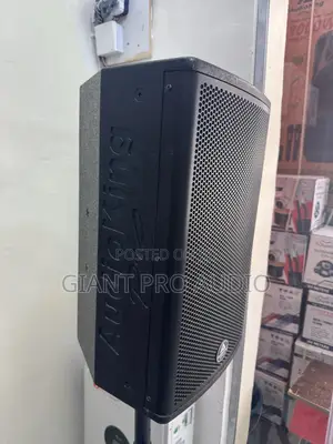 10 Inches Audio King Speaker
