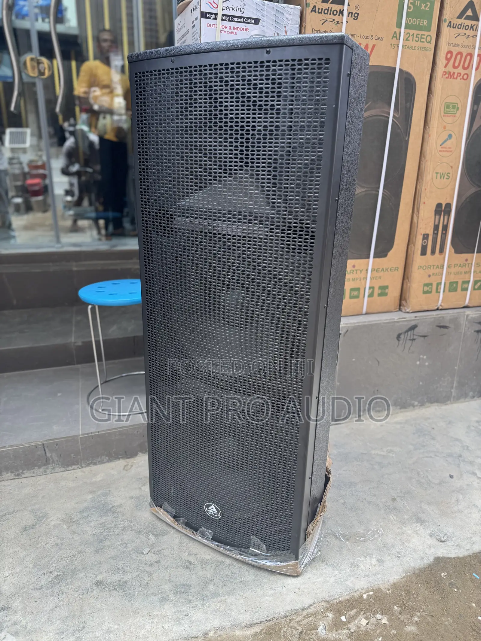 Audio King Full Range Speakers