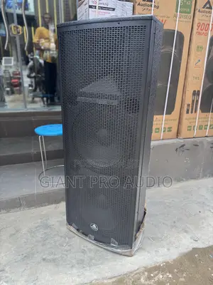 Audio King Full Range Speakers