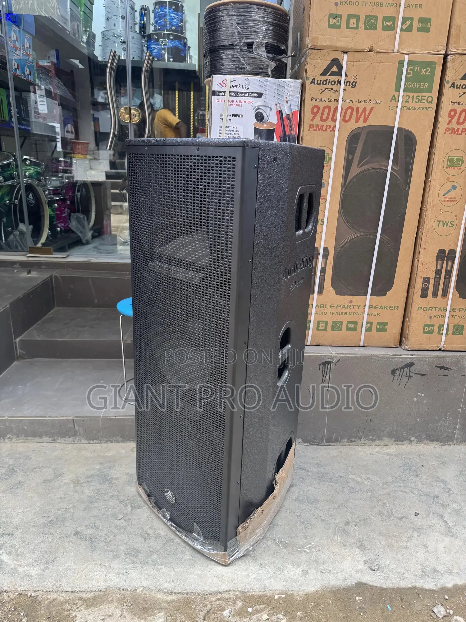 Audio King Full Range Speakers