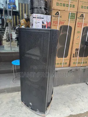 Audio King Full Range Speakers