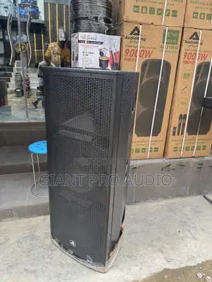 Audio King Full Range Speakers