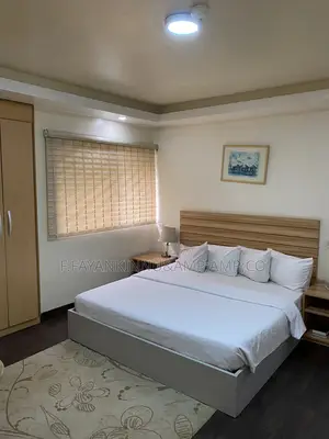Furnished 1bdrm Apartment in Wuse 2 for rent