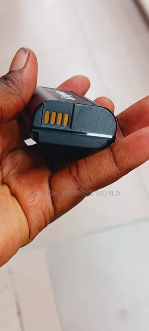 Lumix S1h Battery