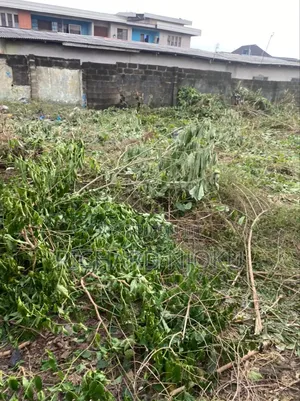 A Complete Plot of Dry Land Measuring 626 SQM Located in Oko-Oba Agege