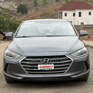 Hyundai Elantra 2017 Gray
