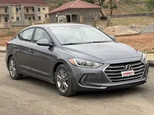 Hyundai Elantra 2017 Gray