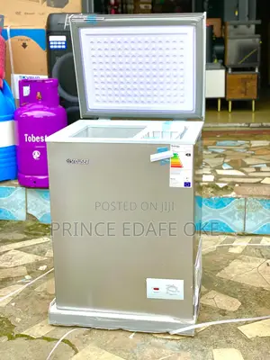 Snowsea Freezer 80l