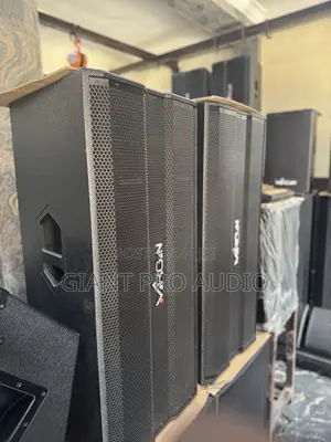 Virgin 15 Inches Full Range Speakers