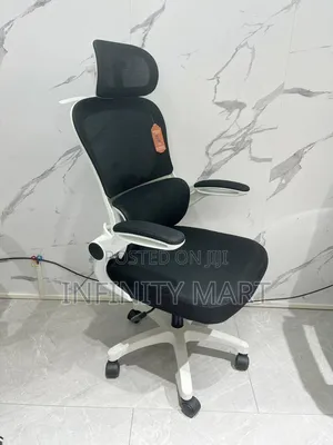 Adjustable Ergonomic Chair
