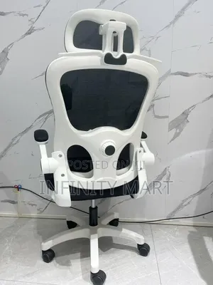 Adjustable Ergonomic Chair