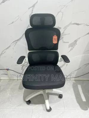 Adjustable Ergonomic Chair