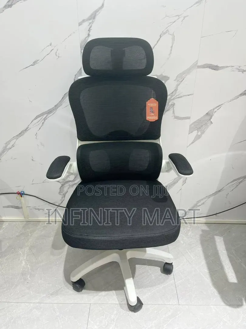 Adjustable Ergonomic Chair
