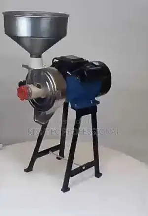 Wet And Dry Grinder