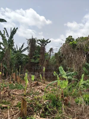 2 Plots of Land