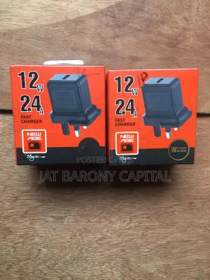 New Age 12w 2.4a Fast Charger