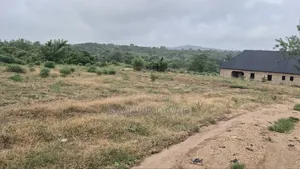 1 Plot by Road Side