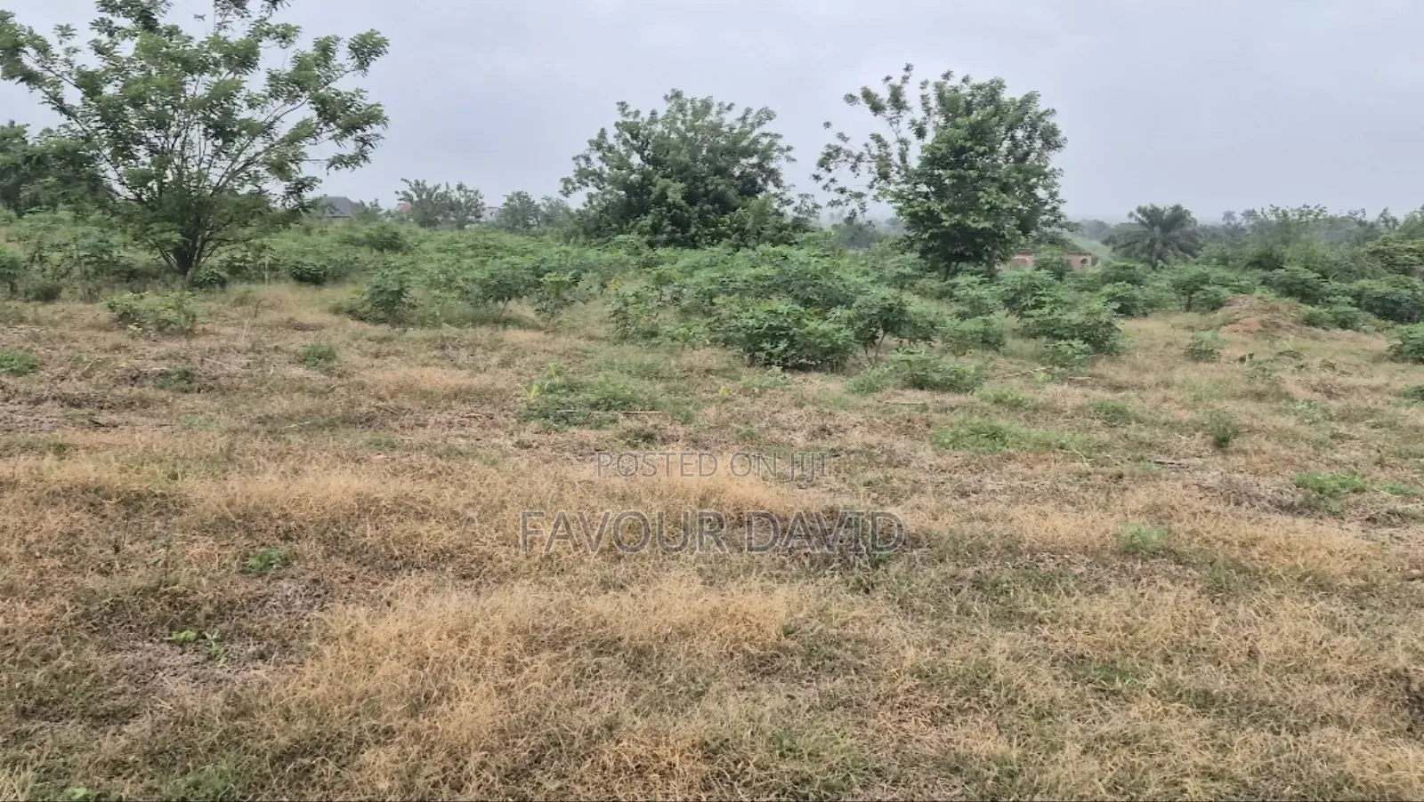 1 Plot by Road Side