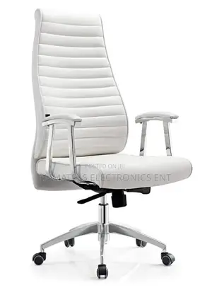 Executive Director Chair