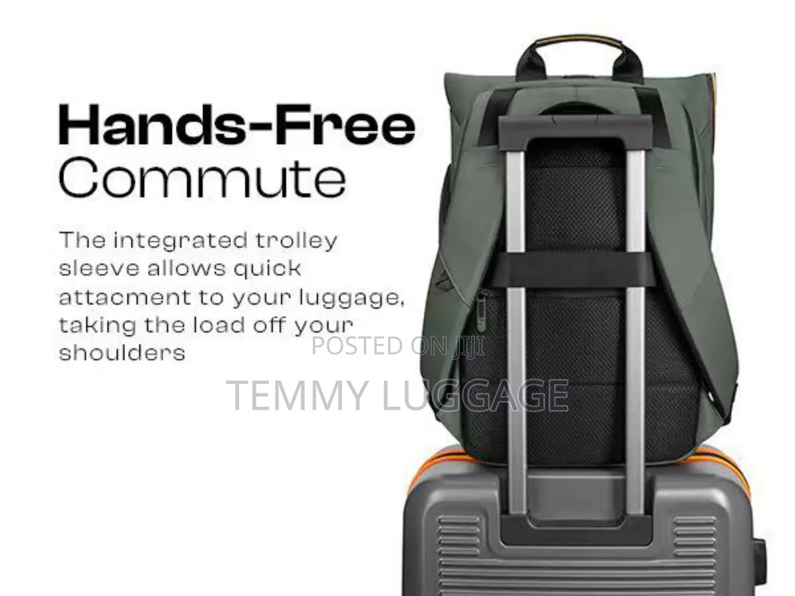Executive Backpack