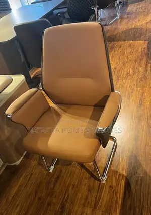 Executive Visitor/Conference Chair