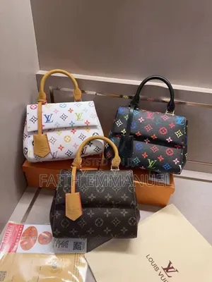 A Louis Vuitton Bag
