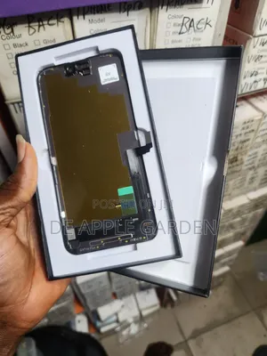 iPhone 16 Plus