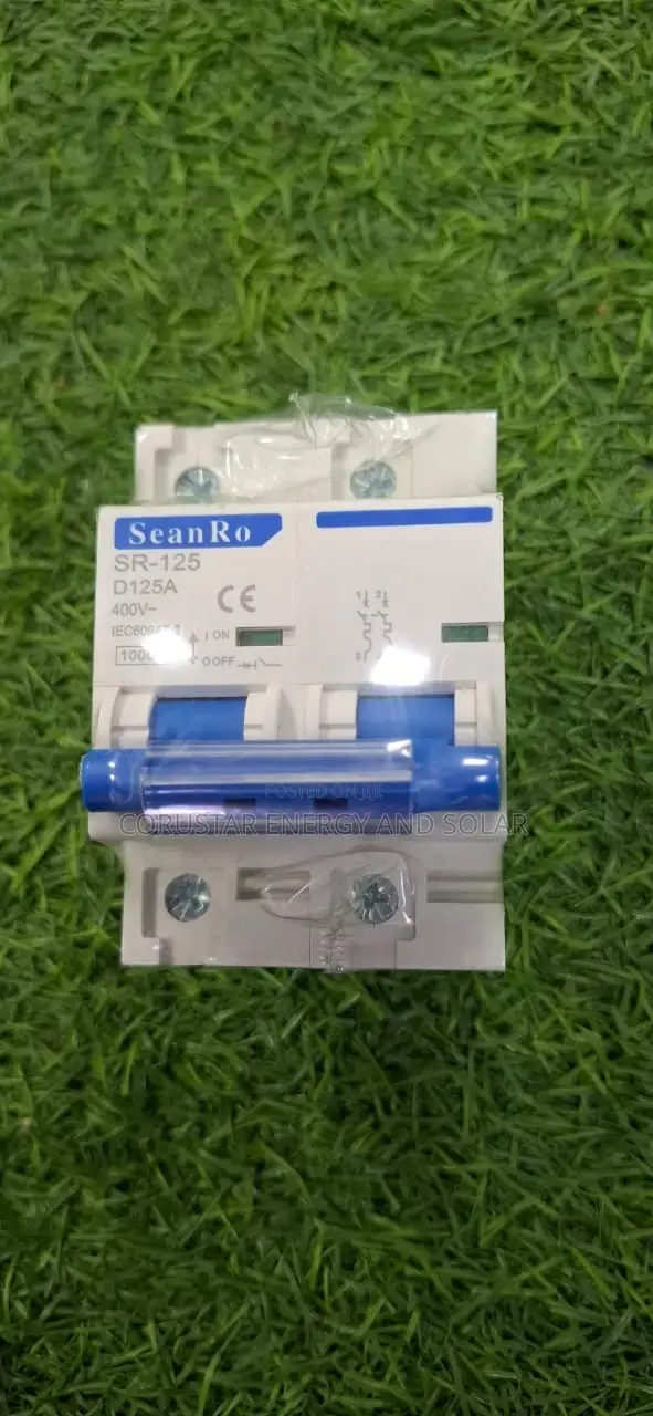 125a MCB 2pole Ac Breaker (Seanro)